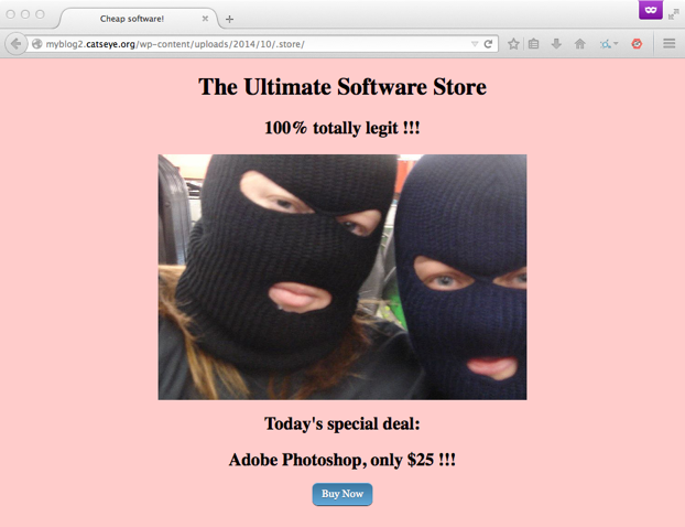 Screenshot of the attacker's online store on the target web server