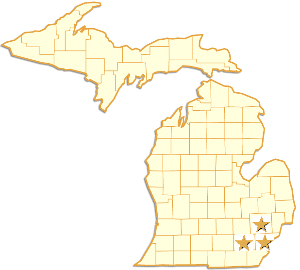 Michigan county Map