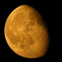 orange moon - August 2, 2007
