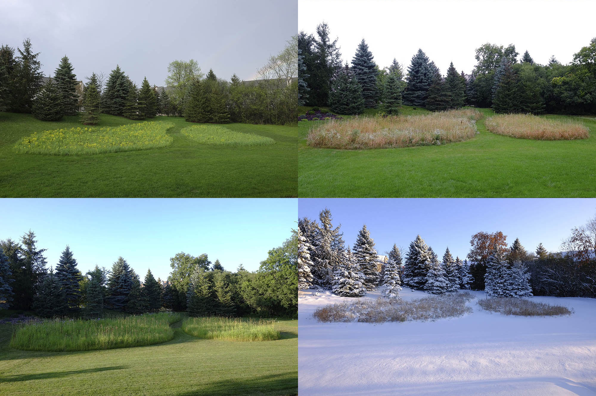 Photo of Four Seasons in a Meadow