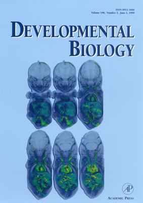Cover Image for the Journal Developmental Biology