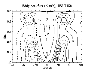 Eddy heat flux (K m/s), IFS T106 (ECMWF)