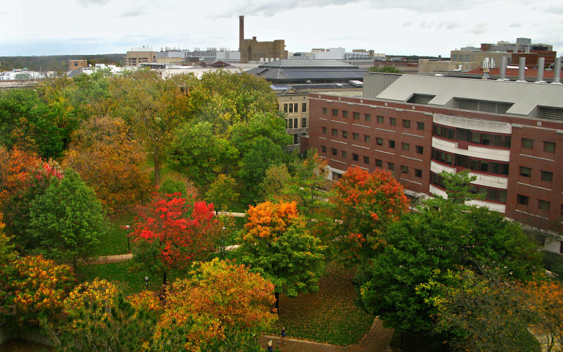 Fall in Ann Arbor, Michigan