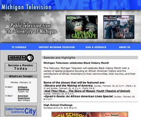 Michigan Television