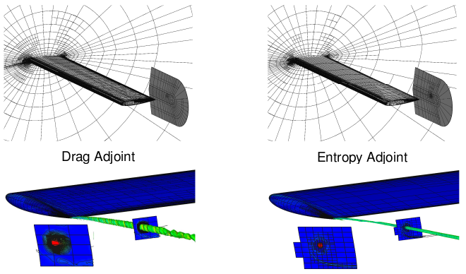 Entropy adjoint refined meshes
