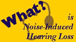 What is Noise-Induced Hearing Loss?