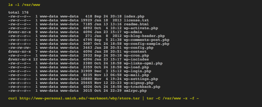 Screenshot of the shell, showing the WordPress directory and a download command