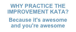 WHY PRACTICE THE
IMPROVEMENT KATA?
Because it's awesome
and you're awesome