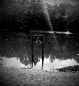 A black-and-white photograph of a metal park sign partially submerged in a forest pond. The sign says 'DO NOT FEED THE GATORS!' in large block letters. The forest in the background reflects off the surface of the pond.