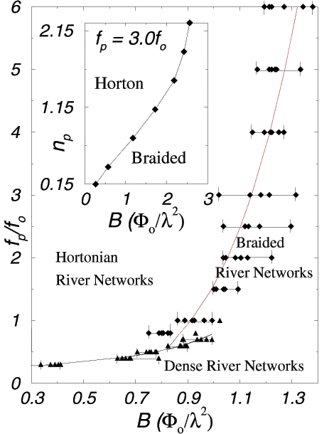 vortex river network morphological phase diagram