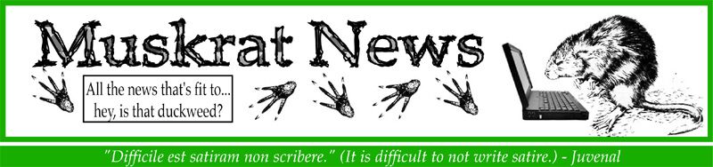 Muskrat News - All the news that's fit to ... hey, is that duckweed?