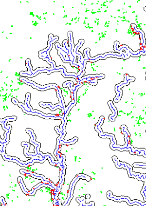 Aspens Selected by Proximity Buffer are Shown in Red
