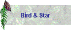 Bird & Star