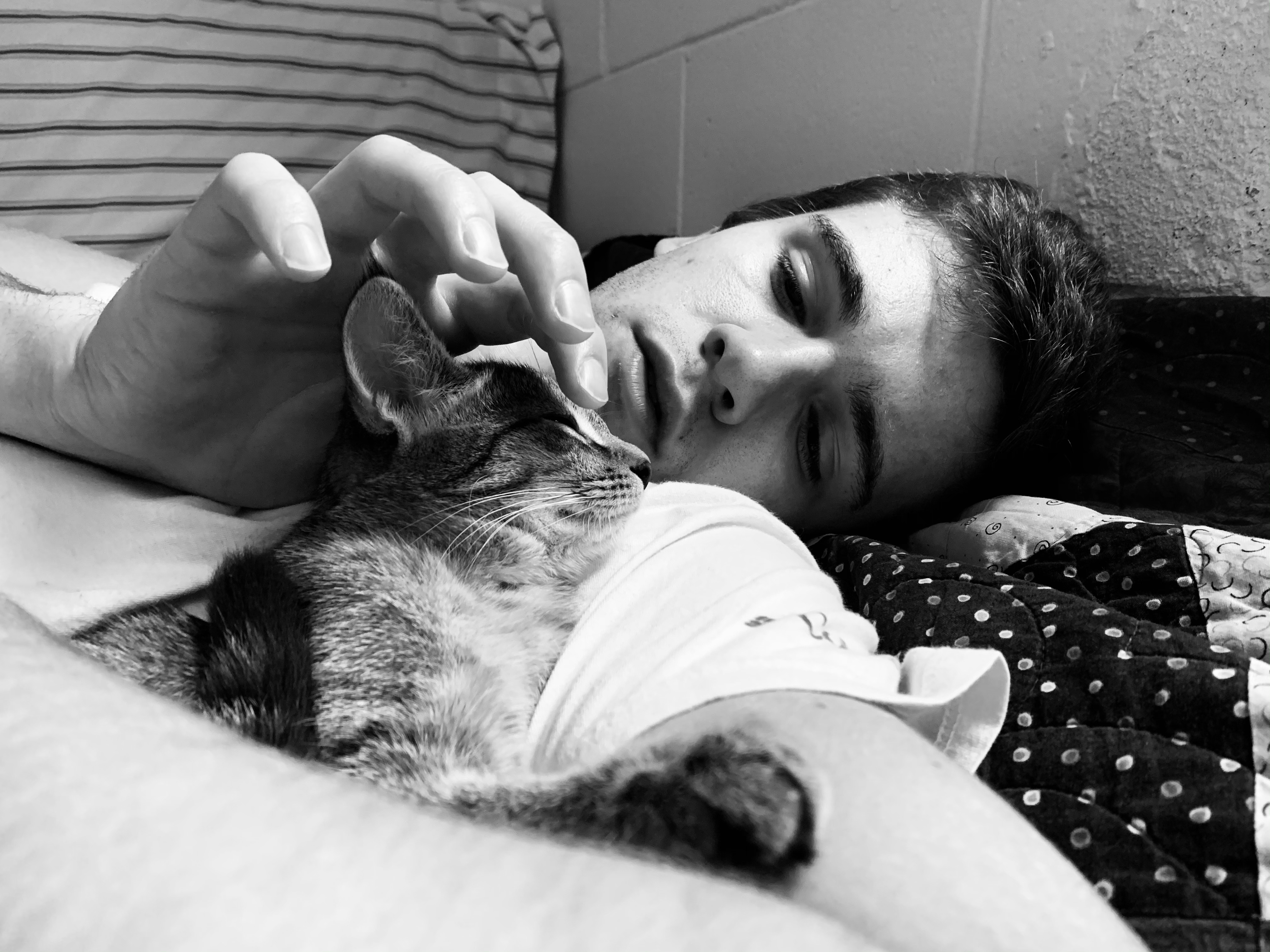 Grayson Buning cuddling his new kitten, Chani.