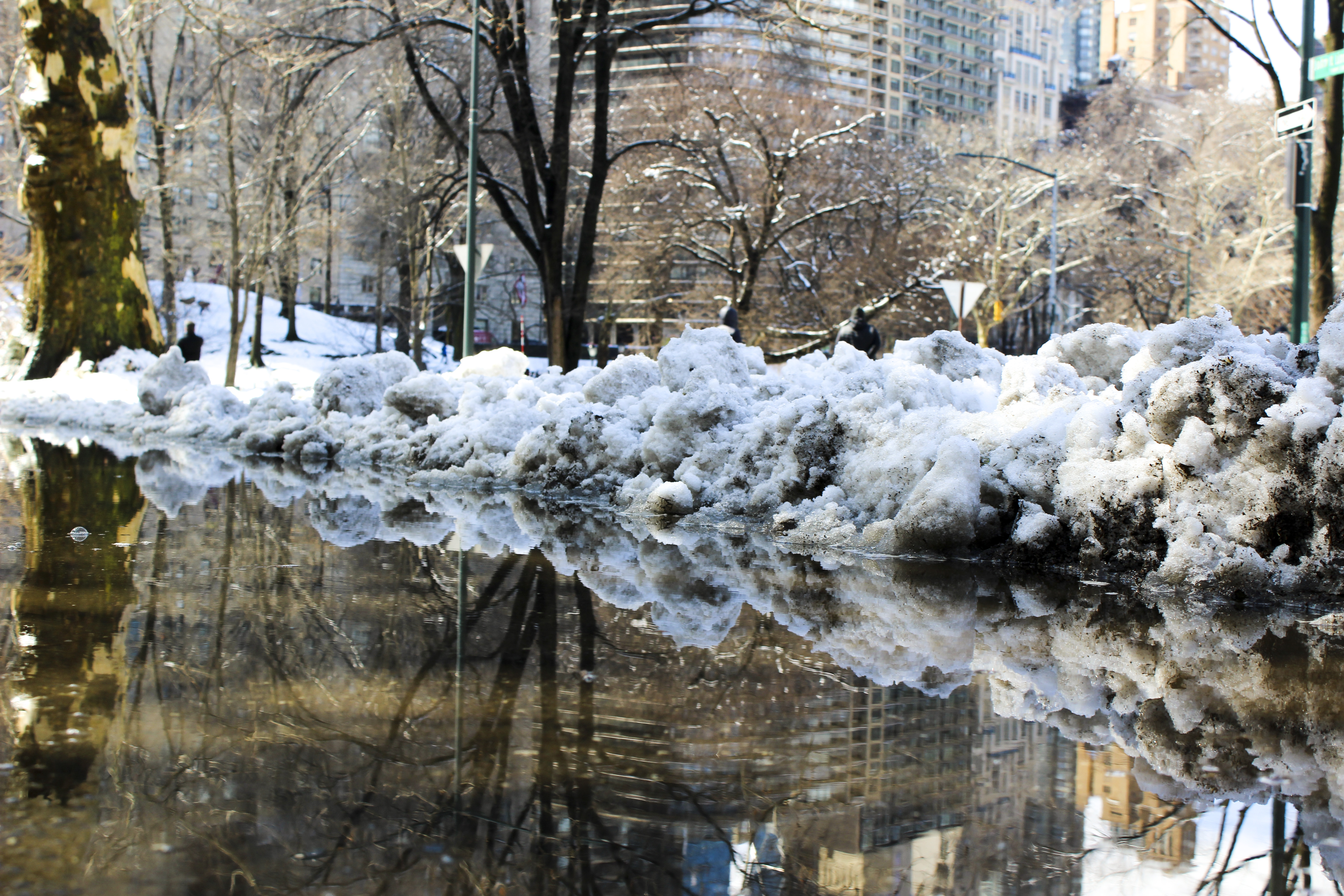 Snow pile in Central Park.