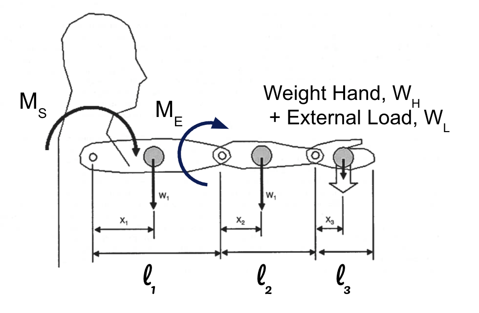 Fig 4b Moments and forces acting on the hand, wrist, elbow and shoulder to complete task requirements